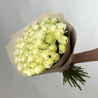 51 БЕЛАЯ РОЗА