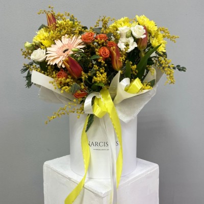 Композиция 007