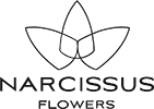 Narcissus-flowers